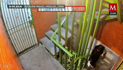 Los desgarradores gritos de Montserrat que alarmaron a su vecindario