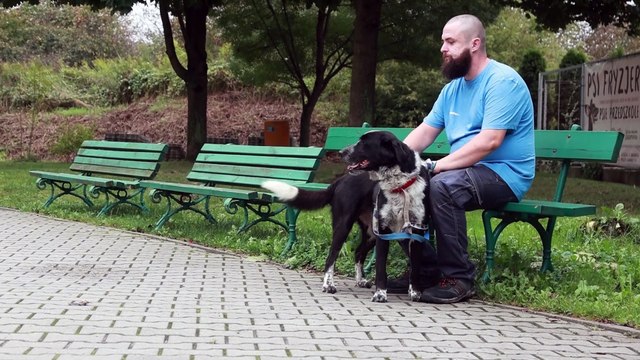 269 kilometrami spacerów z czworonogami ze schroniska KUNDELEK