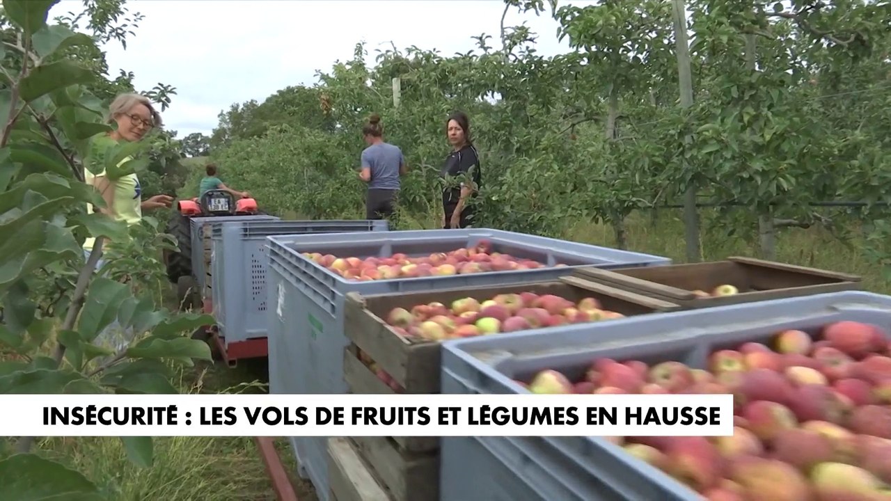 Inflation : les vols de fruits et légumes en ha...