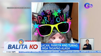 Pet pig sa Bulacan, pamilya ang turing ng kaniyang mga tagapag-alaga | BK