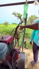 Excellent Example of Sustainable Living and Farming #shorts #viral #shortsvideo #video #innovationhub
