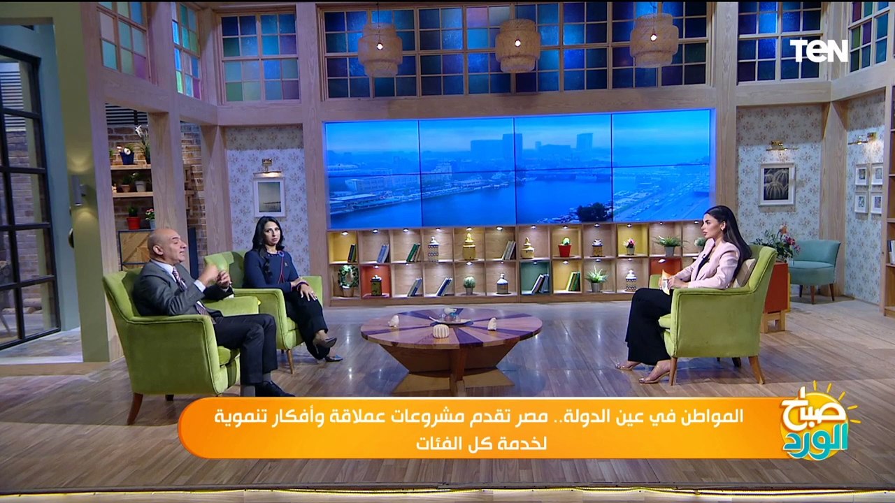 منها 100 يوم صحة والقضاء على فيروس سي.. جميل عفيفي يوضح جهود الدولة في ملف الصحة