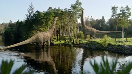 Life on Our Planet - Official Trailer Netflix