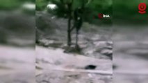 Meksika’da sel: 8 kişi hayatını kaybetti, 2 kişi kayıp