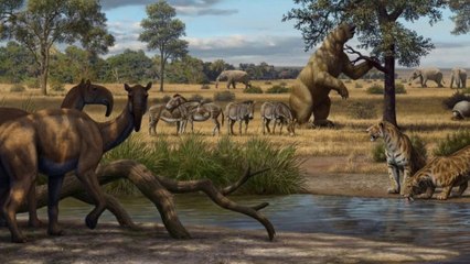 Weekly Wildlife: Ice Age Special