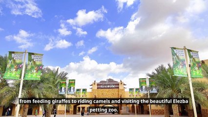 Make Some Furry Friends at these UAE Spots!