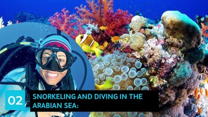 Five Things You Need to Explore in Oman's Beautiful Nature short