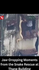 Jaw-Dropping Moments from the Snake Rescue at Thane Building