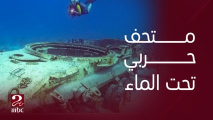 "الآثار الغارقة ليها عشاقها "...الدكتور محمود حنفي أستاذ البيئة البحرية يكشف تفاصيل أول متحف حربي تحت الماء في مصر بالبحر الأحمر