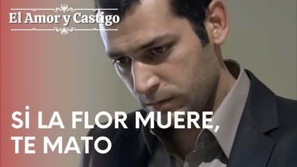 Si la flor muere, te mato | Amor y Castigo - Episodio 18