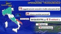 Operazione 'Transumanza' contro la mafia dei pascoli