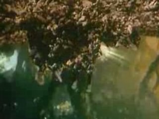 Les Chroniques de Spiderwick bande annonce