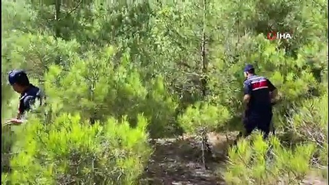 Mersin'de Uyuşturucu Operasyonu: 2 Gözaltı, 5 Kilo Esrar ve 649 Kök Kenevir Ele Geçirildi