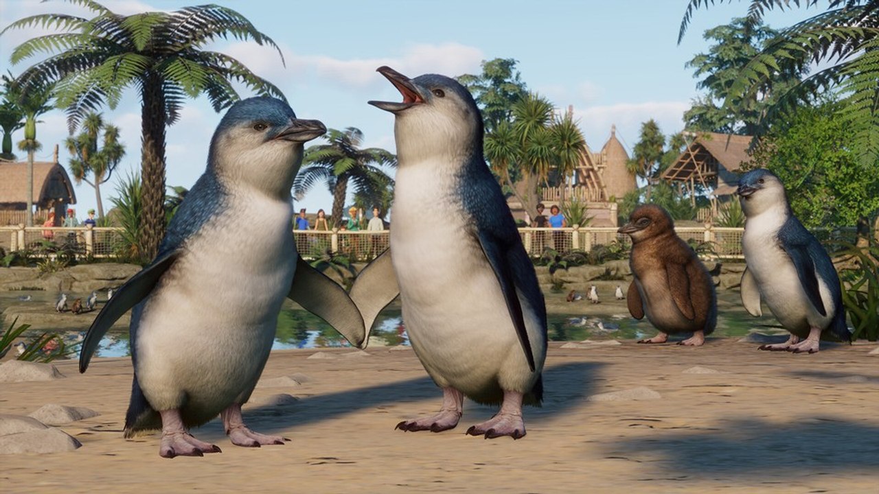 Planet Zoo erhält im Oceania Pack Verstärkung: Vom Zwergpinguin bis hin zum Tasmanischen Teufel
