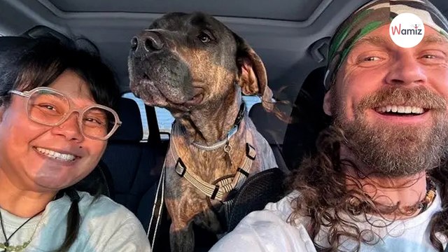 Hund reagiert total emotional, als er versteht, wo seine Reise hingeht