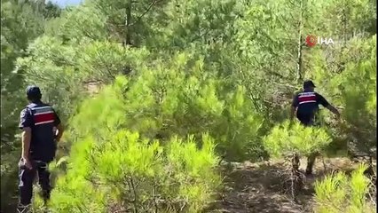 Opération antidrogue à Mersin : 2 personnes arrêtées, 5 kilos de marijuana et 649 racines de cannabis saisies