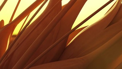 Trường Học Bá Vương – Future Cops (1993) Full HF