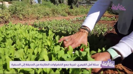 من الحديقة إلى السفرة استمتع بطعام صحي مليئ بالخضراوات الطازجة