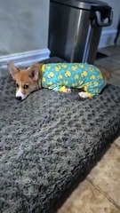 Finley fait passer la mode au coucher au niveau supérieur