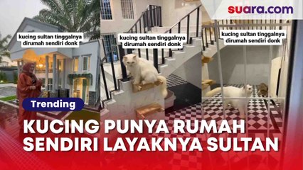 Bikin Melotot! Wanita Pamer Rumah Mewah, Sosok Penghuninya Malah Bikin Kaget