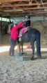 Horse Rider Scares Her Horse With A Toot