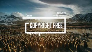 documentary-wildlife-by-infraction-no-copyright-music-nature-awakening