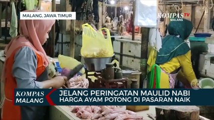 Jelang Peringatan Maulid Nabi, Harga Ayam Potong di Malang Naik
