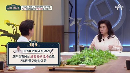 타고난 파워 외향형 선우용여! 다면적 인성검사 결과를 통해 본 선우용여의 내면