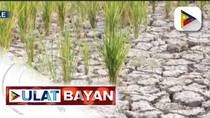 Download Video: Mga residenteng malapit sa Bulkang Taal, patuloy na pinag-iingat ng Phivolcs mula banta ng vog