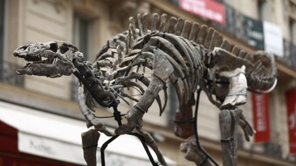 150 milyon yıllık dinozor iskeleti açık artırmayla satılacak