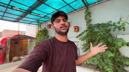 Shayan Ko Horse Riding krni hai Rone Lg Gea