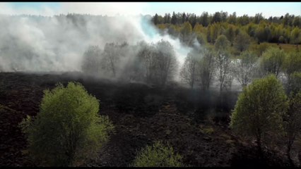 Incendi boschivi, un problema in forte crescita