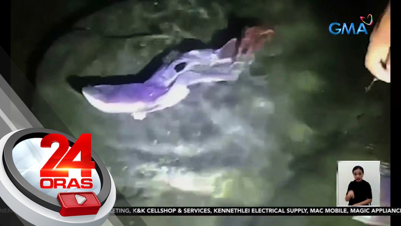 "Blanket octopus", namataang palutang-lutang sa dagat na sakop ng Gumaca, Quezon | 24 Oras