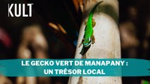 Le gecko vert de Manapany : un trésor local