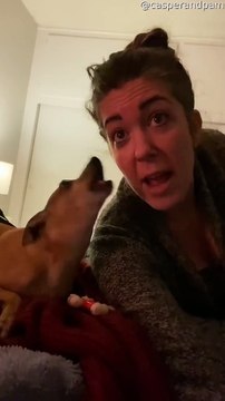 Le chiot veut chanter aussi