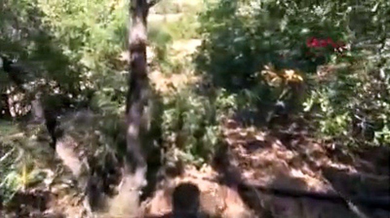 Ceset aranıyor
