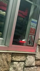 Rats au Whataburger Drive-Thru