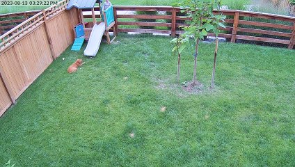 Une caméra de sécurité capture les zooms des diapositives et les rires les plus doux