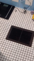 Des siestes d'opossum endormies dans une grille d'aération