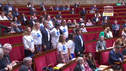 Des députés écologistes revêtent des "warming stripes" dans l'hémicycle pour interpeller le gouvernement sur le réchauffement climatique