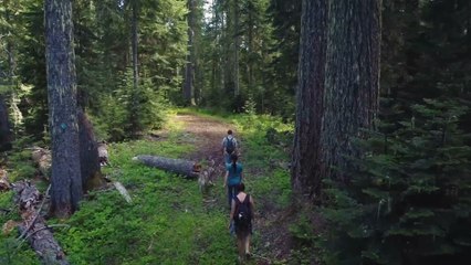 Social inequality for access to the outdoors uncovered In report by Ramblers