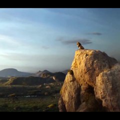 The Lion King | Parody | (Mr. Charith Dub - 5) | @Mr. Charith