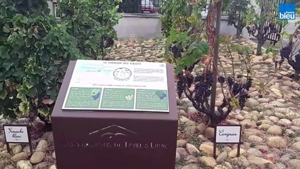 Gare-toi là - le 1er rosé de France est à Tavel !