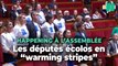 À l'Assemblée nationale, les députés écolos s'affichent avec des 