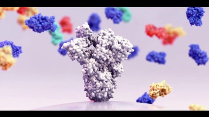 Receptor Kinetics Insights into Pharmacology