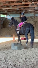 Horse Rider Scares Her Horse With A Toot