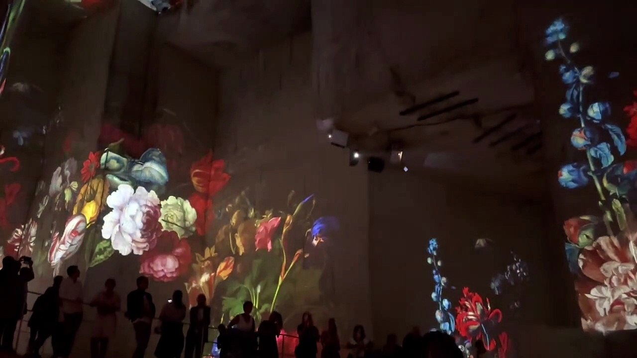 Les carrières de l image