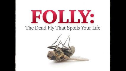 Non-series Folly - the Dead Fly in Your Life