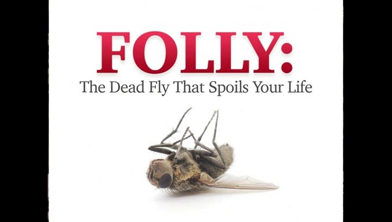 Non-series Folly - the Dead Fly in Your Life
