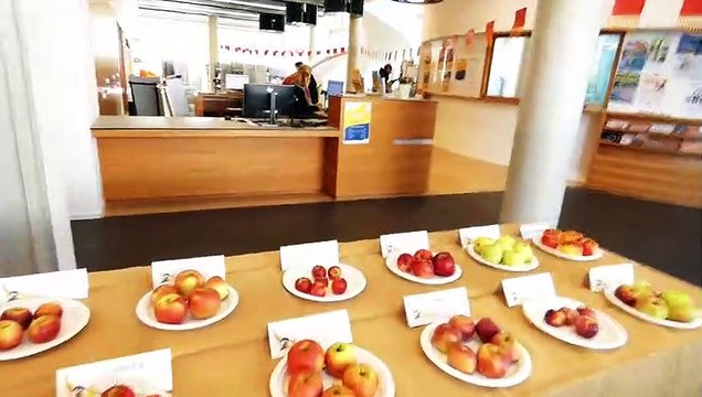 Brumath Arboriculture 2023 exposition à la Médiathèque